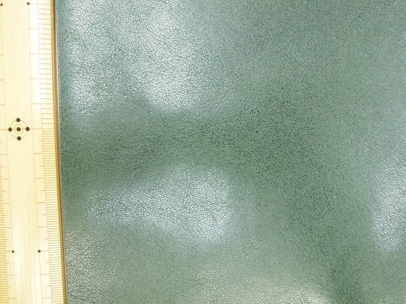 Mjpb082850