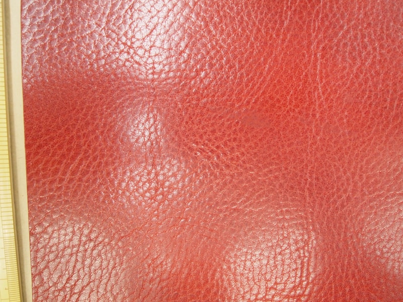 Mjpb083040