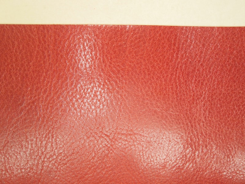 Mjpb083054