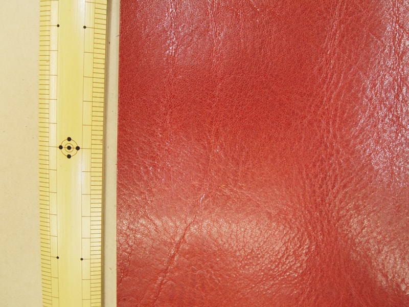 Mjpb083060