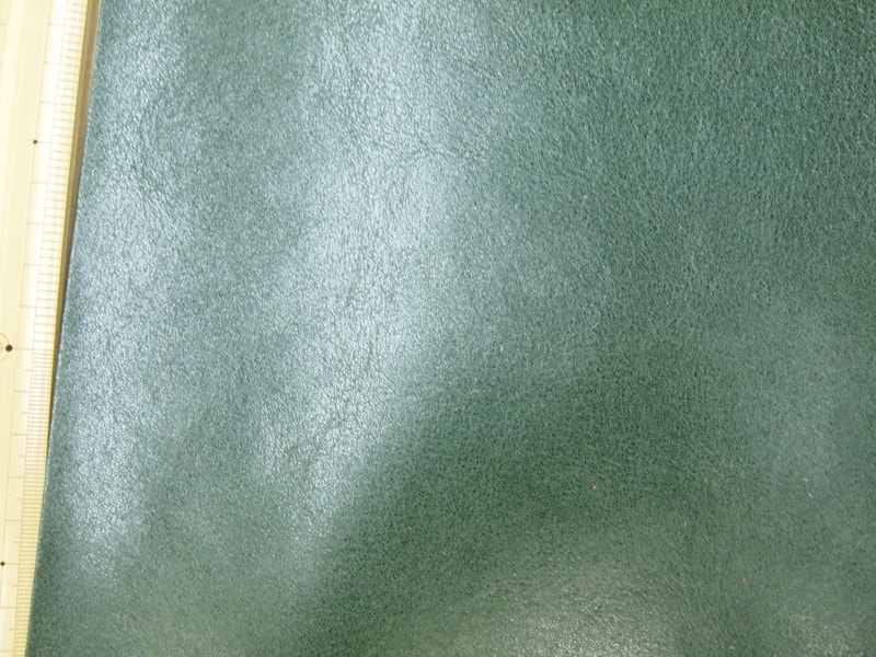 Mjpb083066