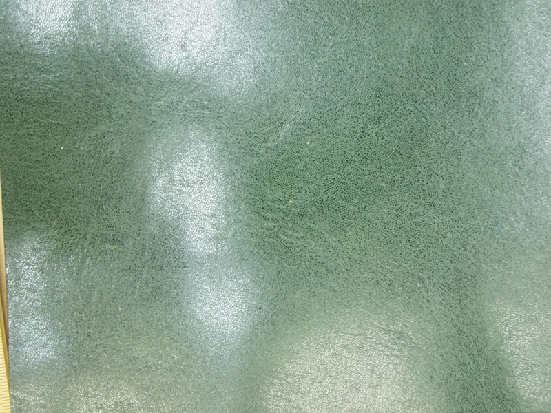 Mjpb083068