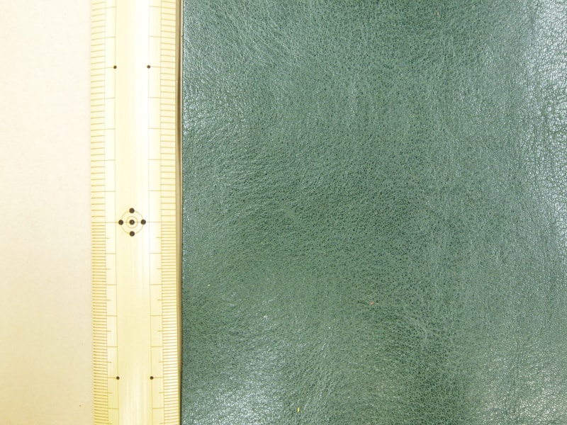 Mjpb083074