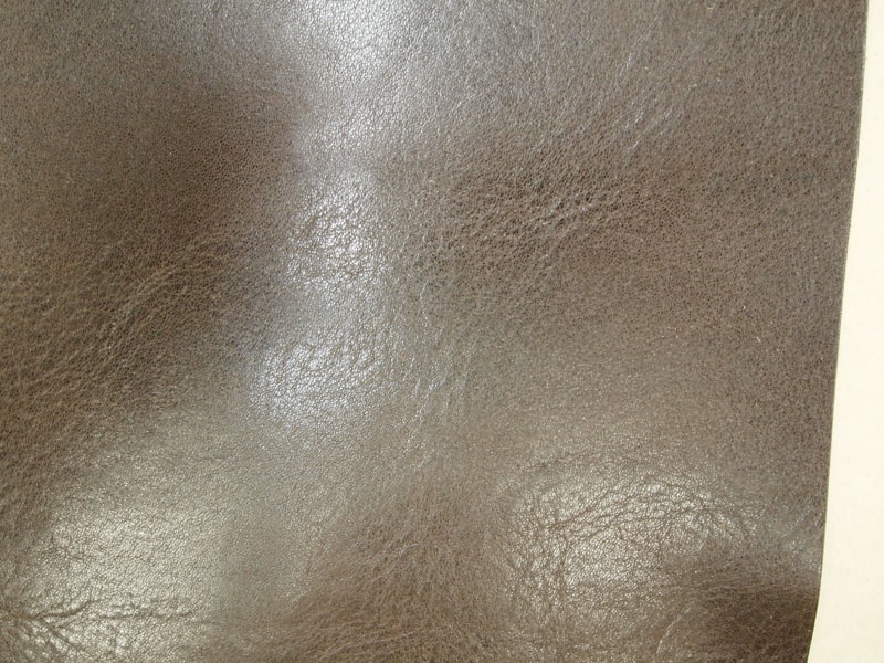 Mjpb083104