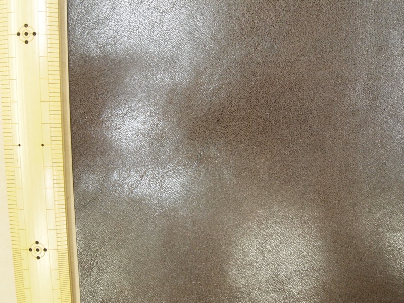 Mjpb083136