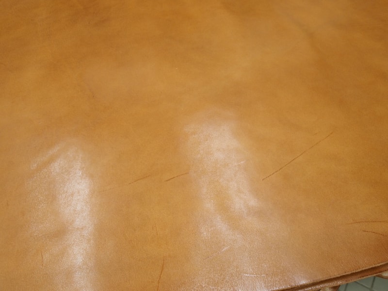 Mjpb082900