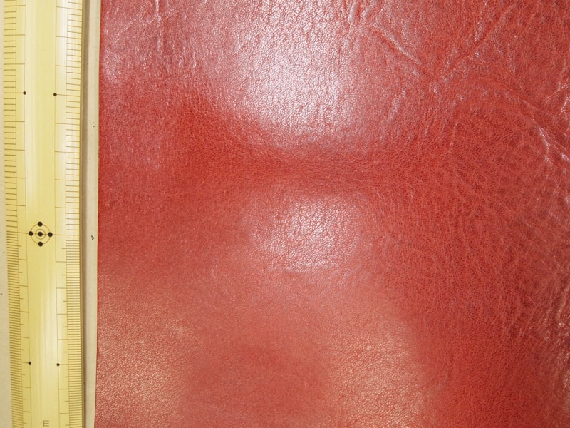 Mjpb153346