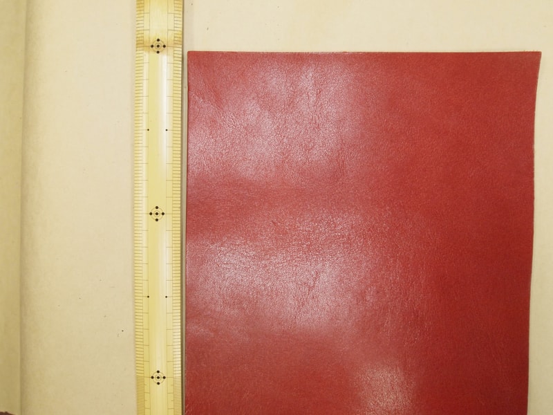 Mjpb153352