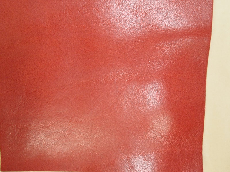 Mjpb153364