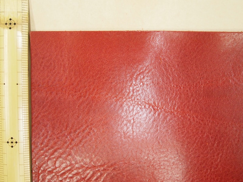 Mjpb153376