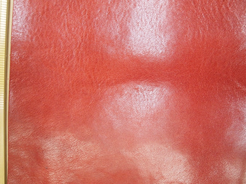 Mjpb153378