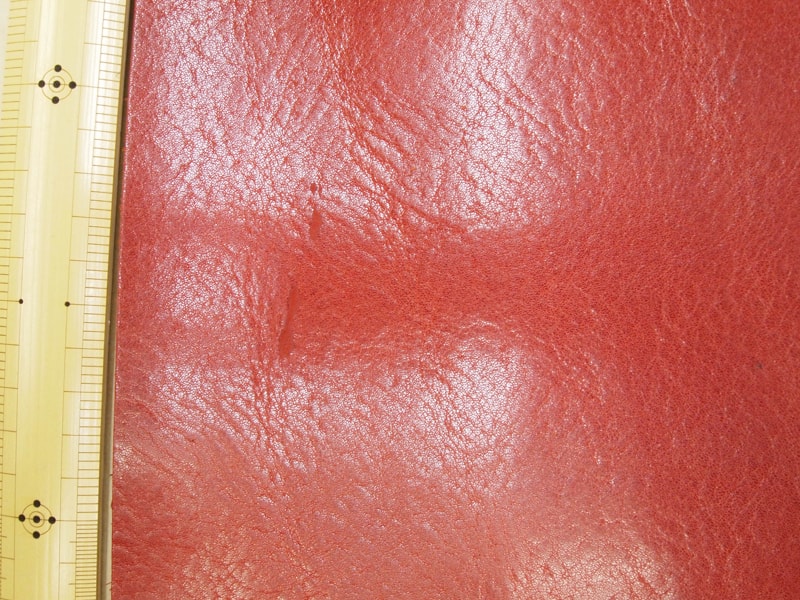 Mjpb153380