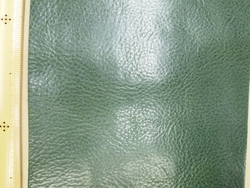 Mjpb153446