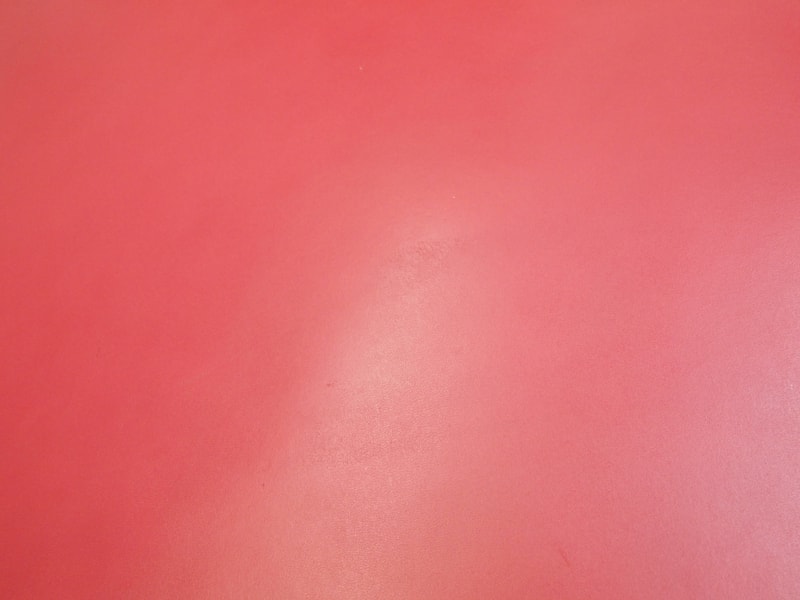 Mjpb223676