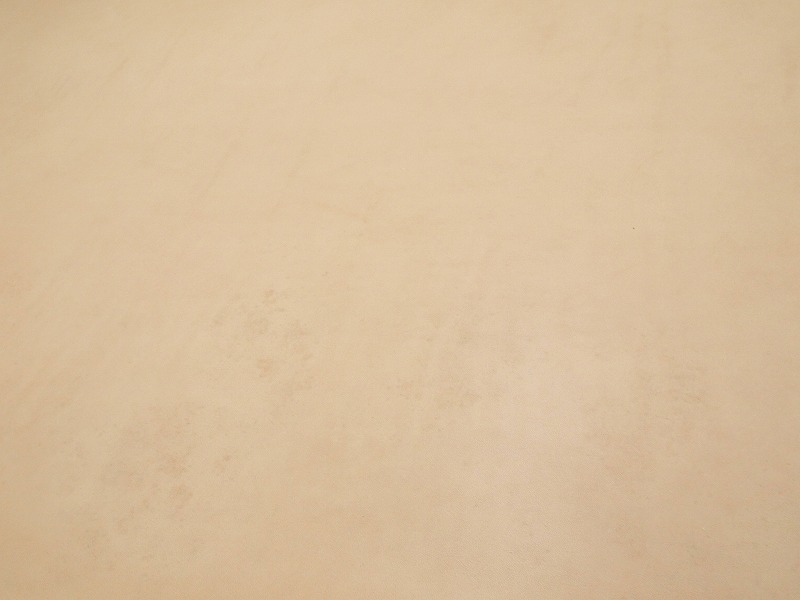 P4250900