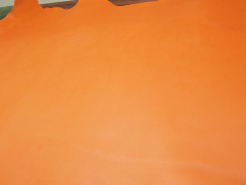 Mjp5011037