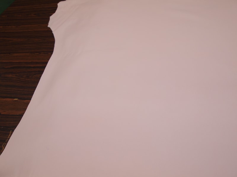 Mjpa014247