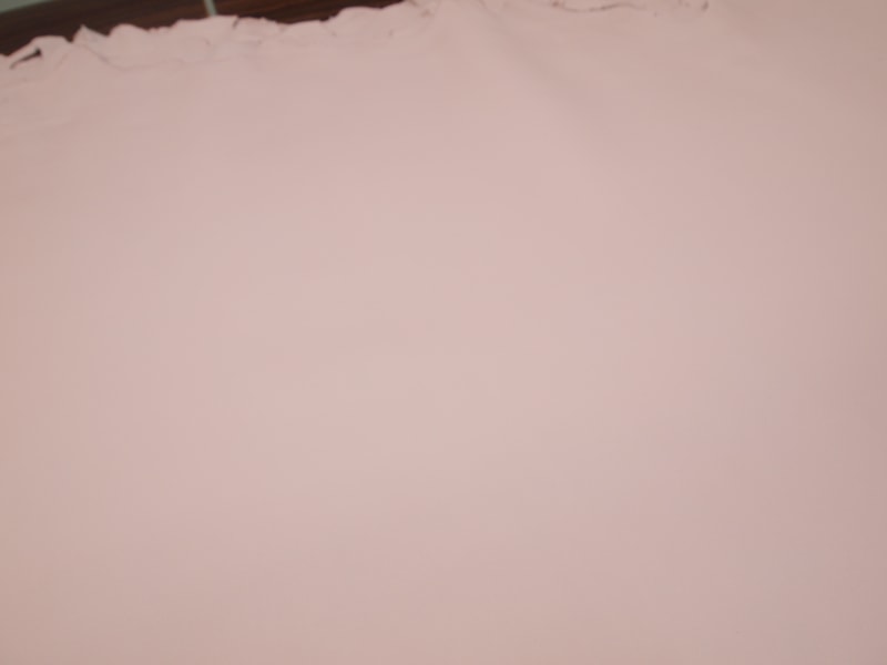 Mjpa014260