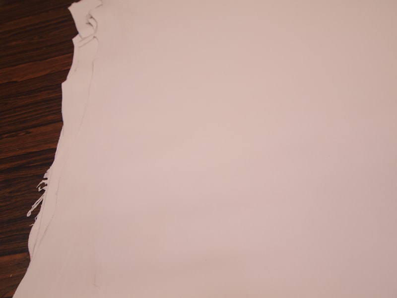 Mjpa014266