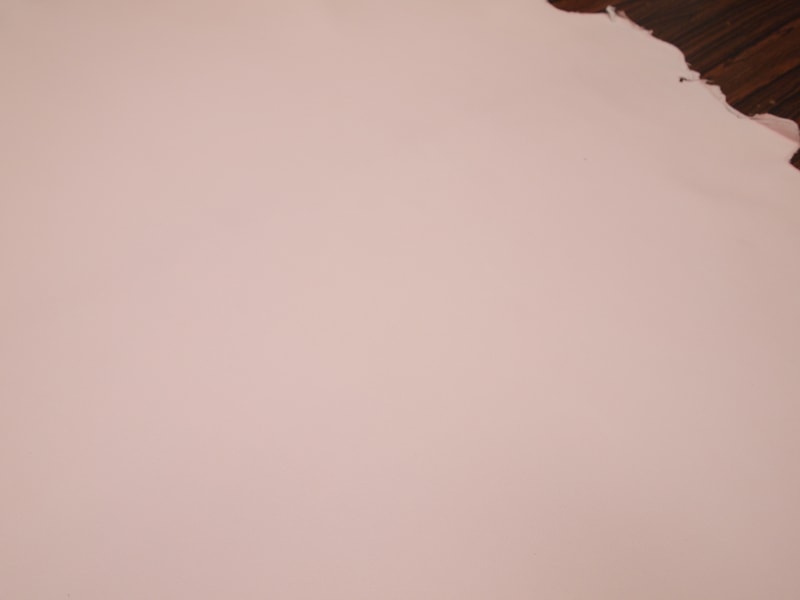 Mjpa014281