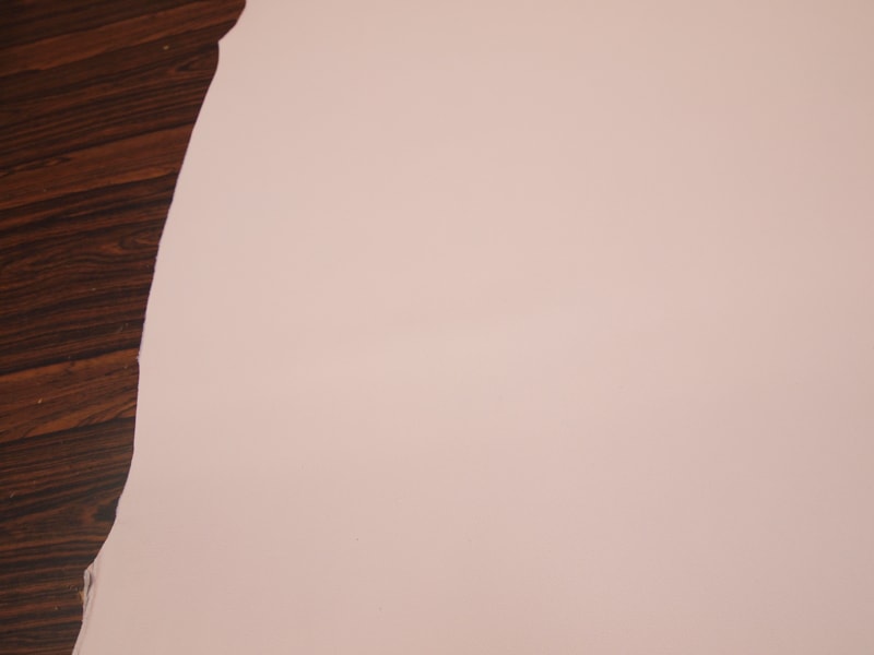 Mjpa014284