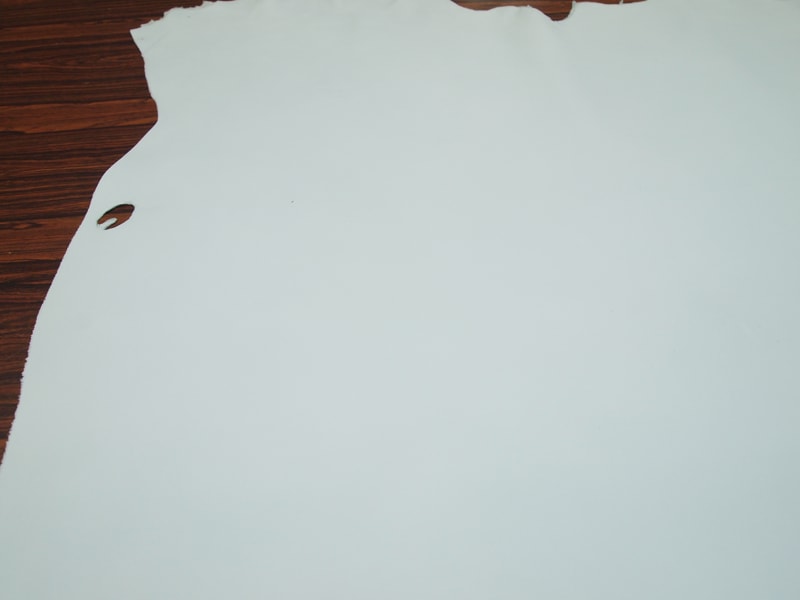 Mjpa014299