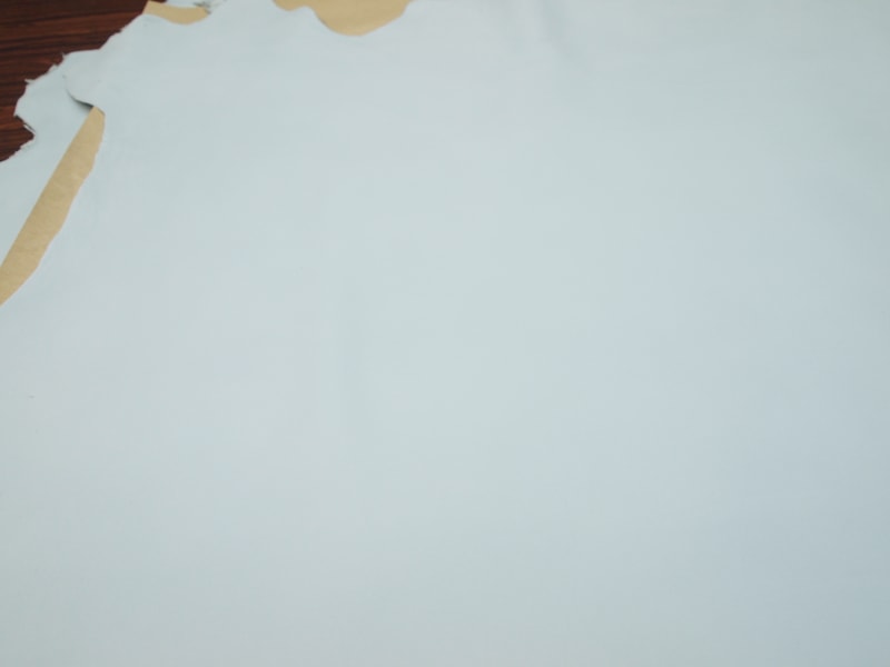 Mjpa024302