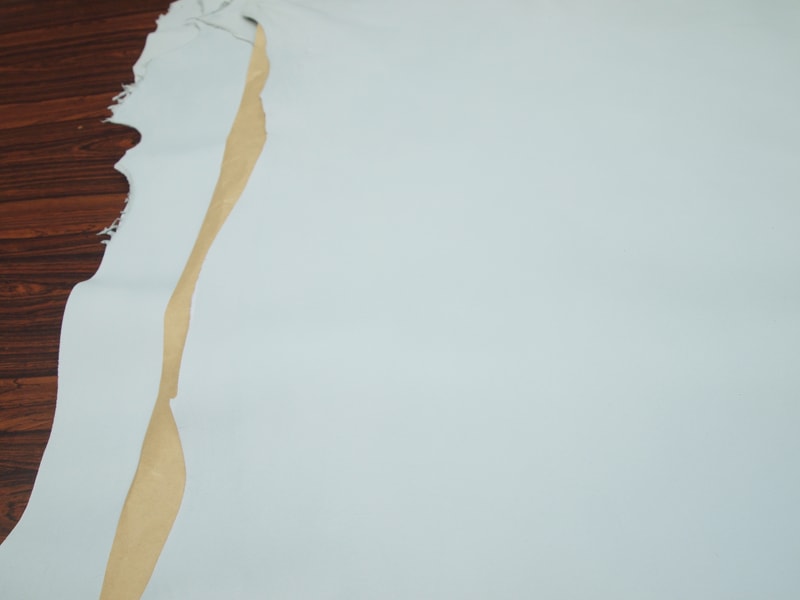 Mjpa024308