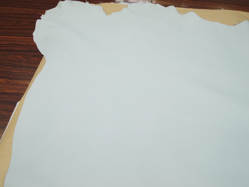 Mjpa024317