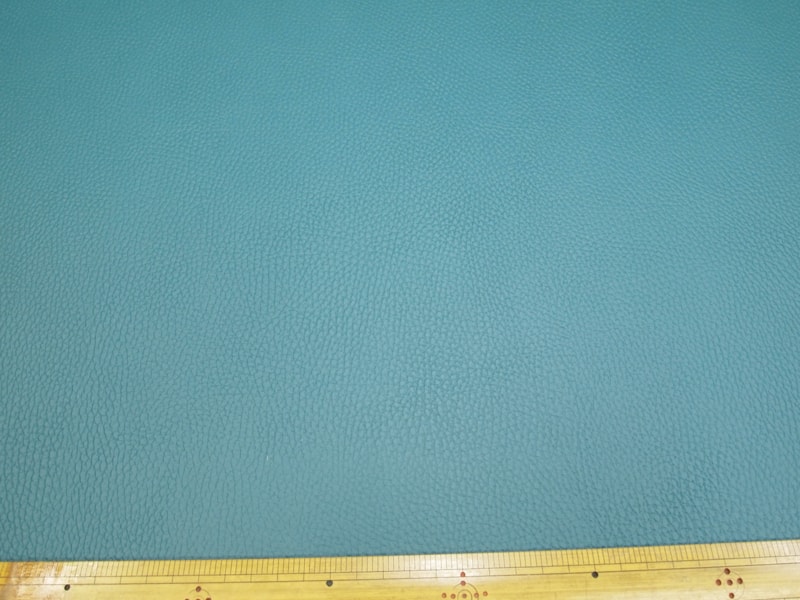 Mjpa084491