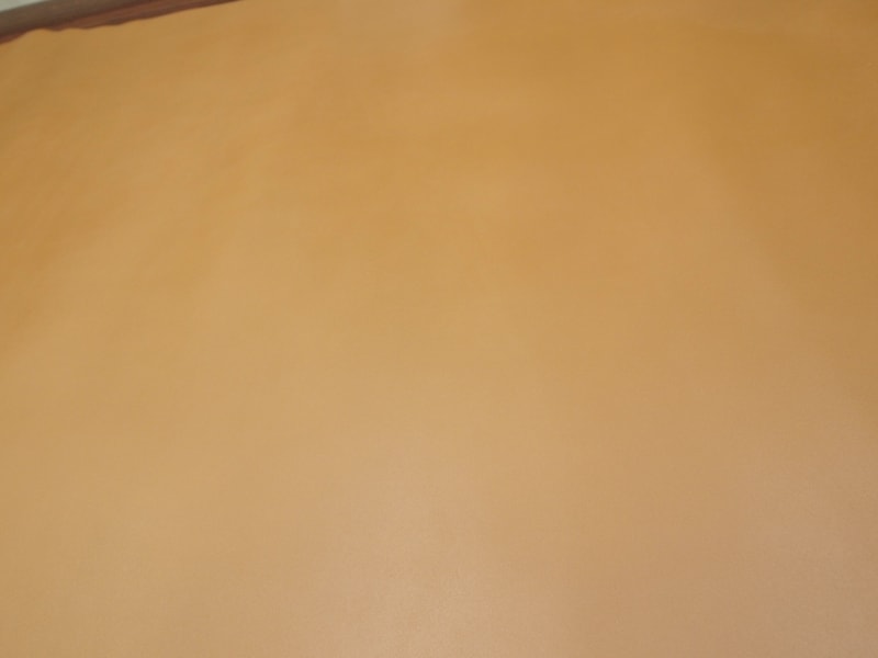Mjpa094549