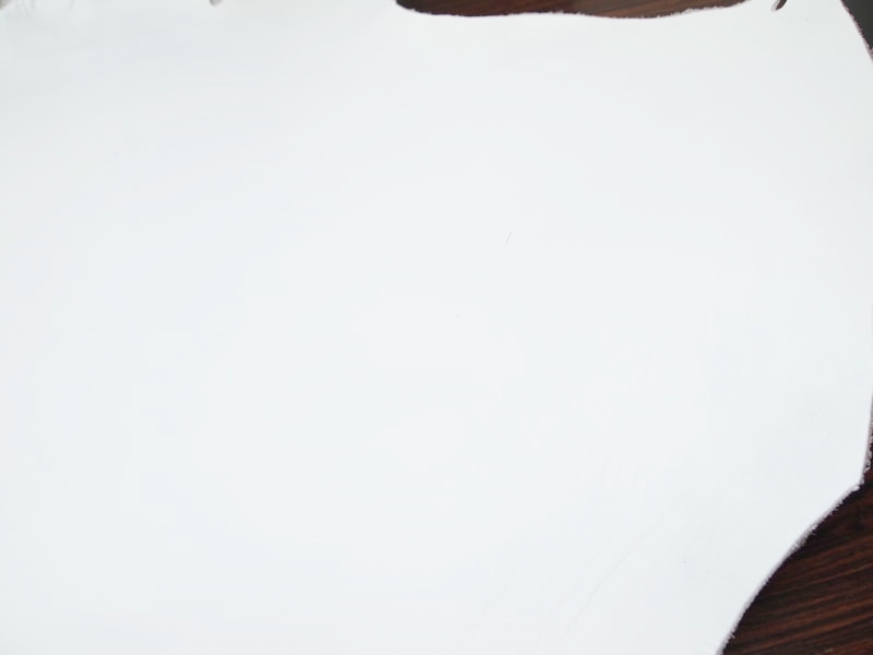 Mjpa235082