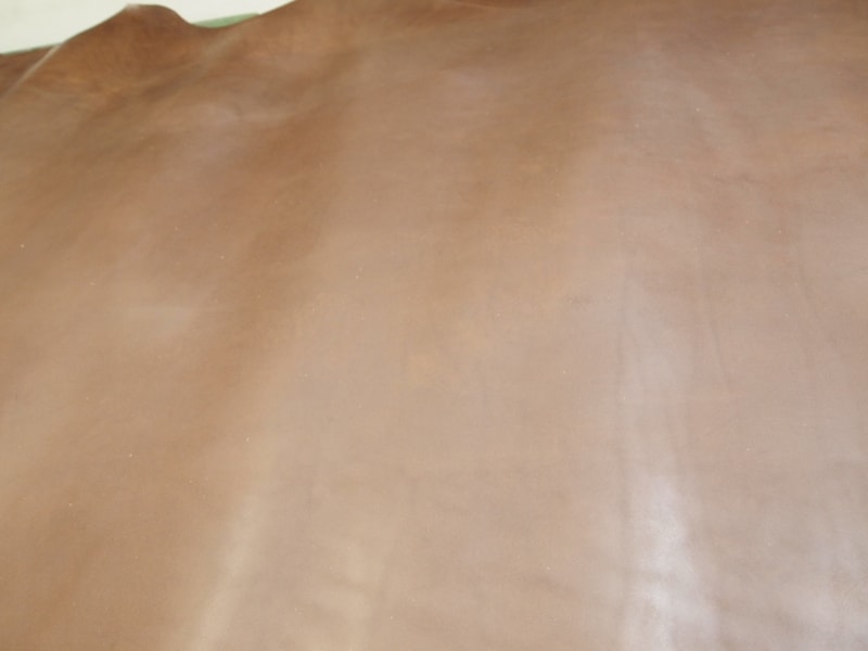 Mjpb075589