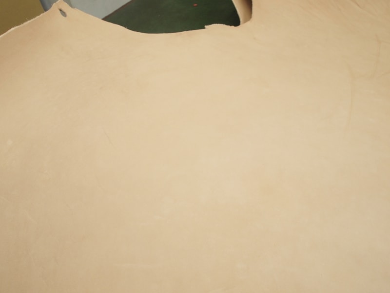 Mjpb135756