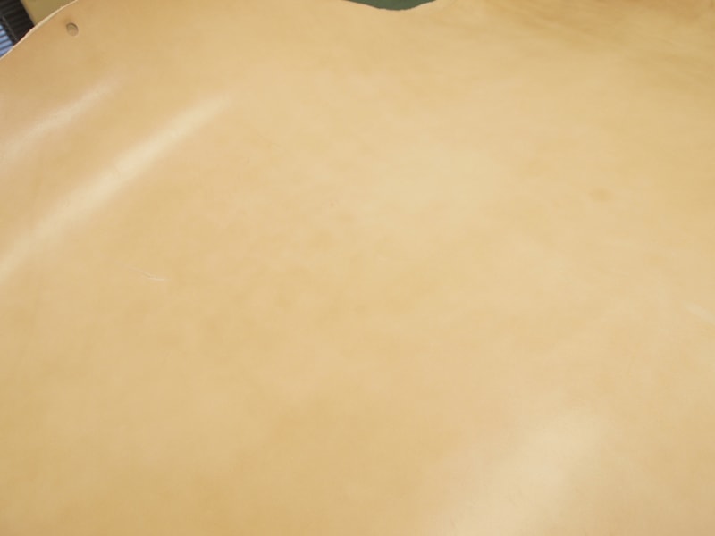 Mjpc116445