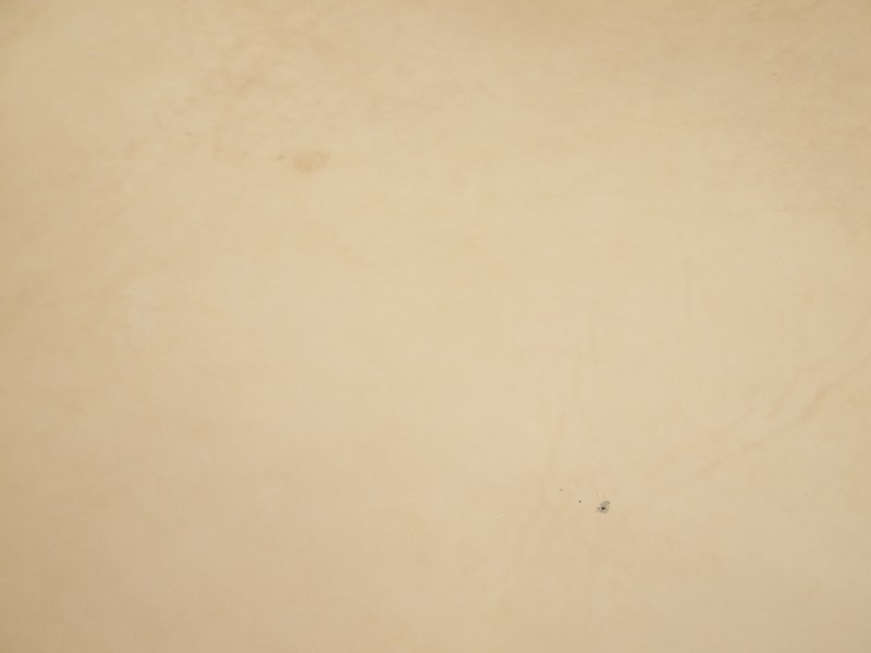 Pc176584