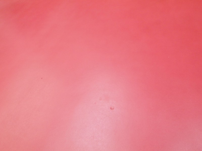 P4179260
