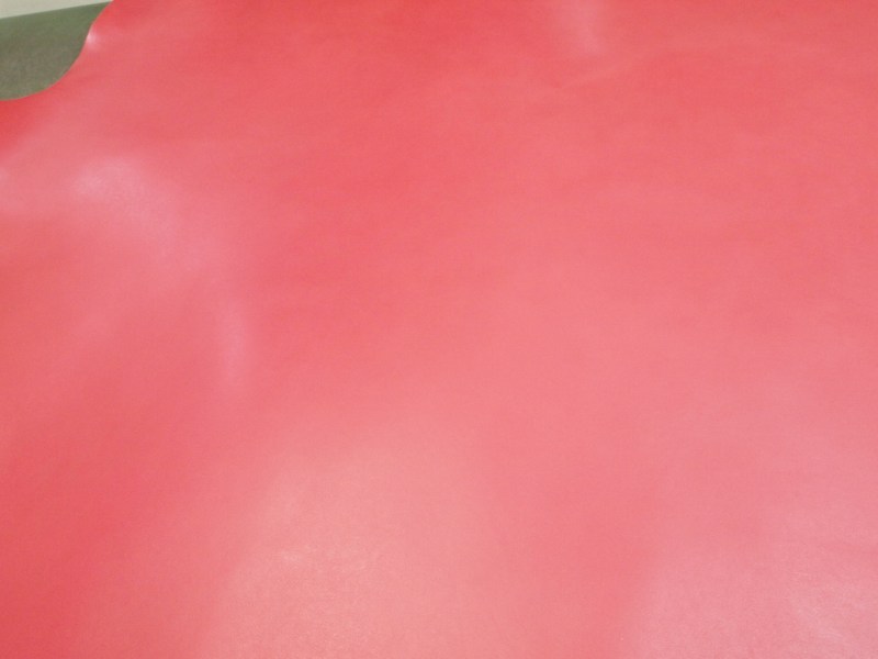 P4169159