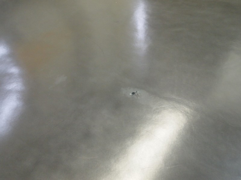 P4249426
