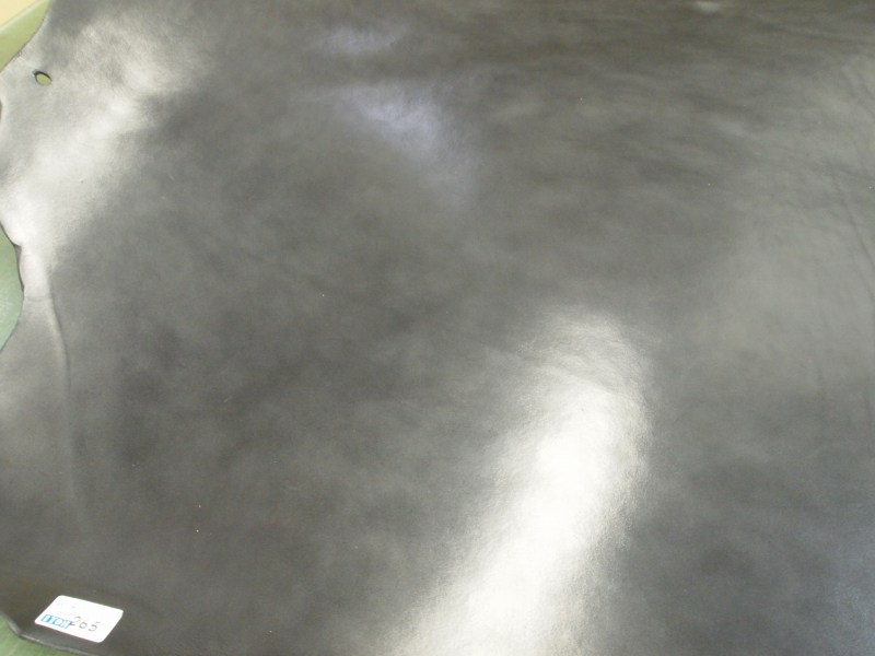 P4249434.2
