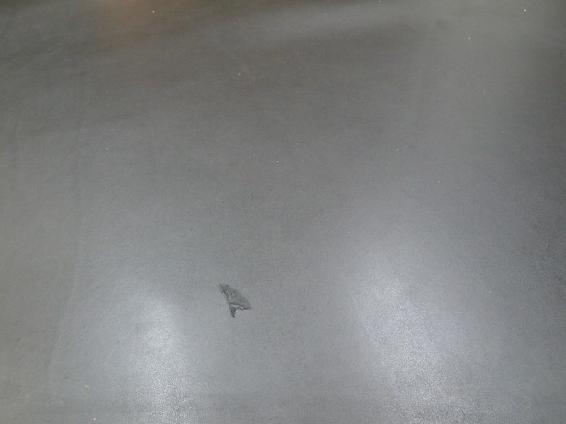 P4309554