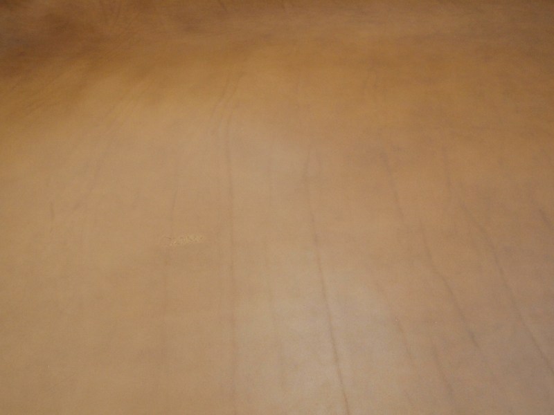 P5280071