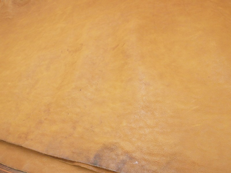 P6040224