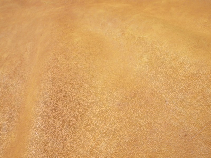 P6040227