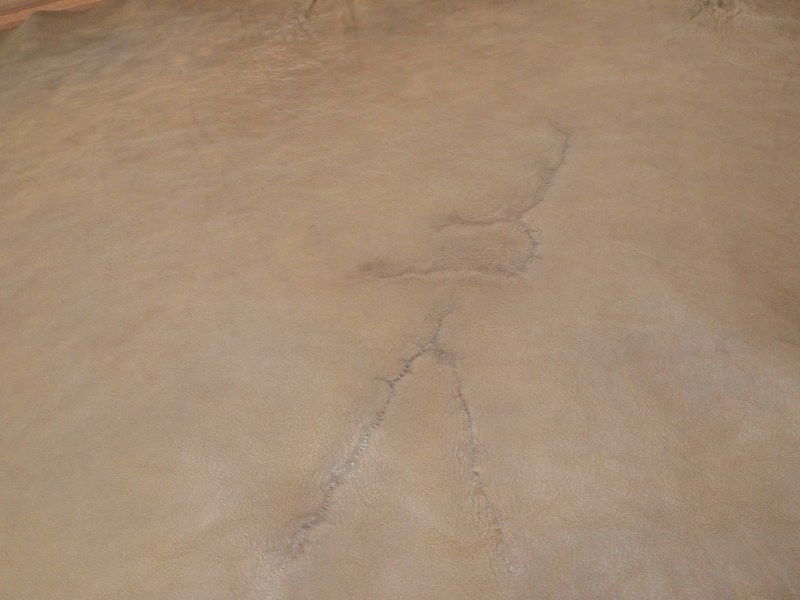 P6040257