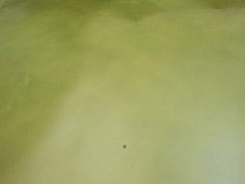 P6040270