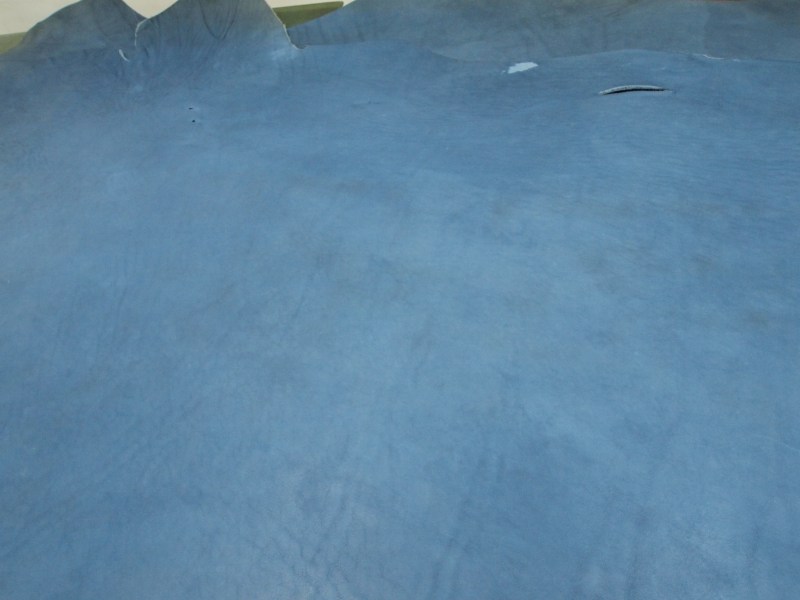 P6050325