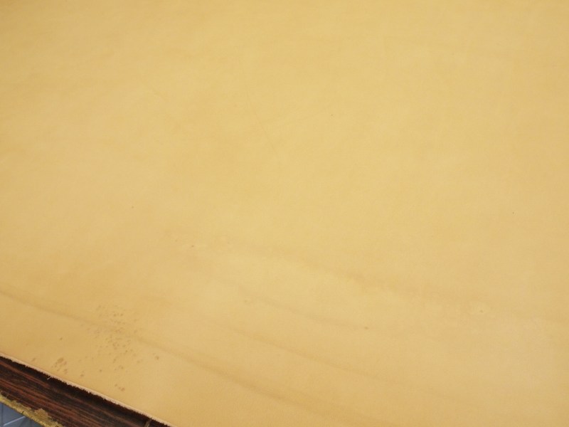 P6050334