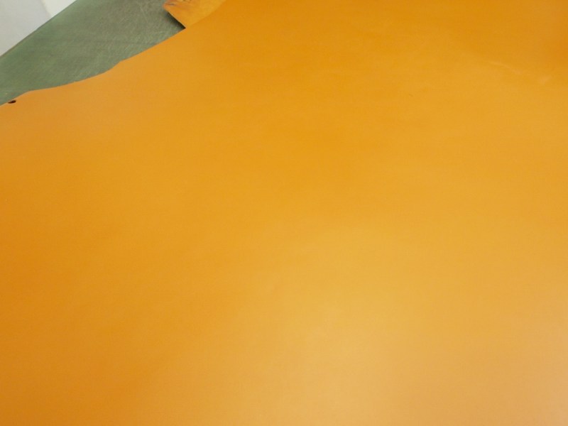 P6050340