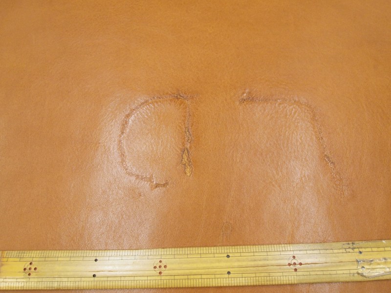 P6110399